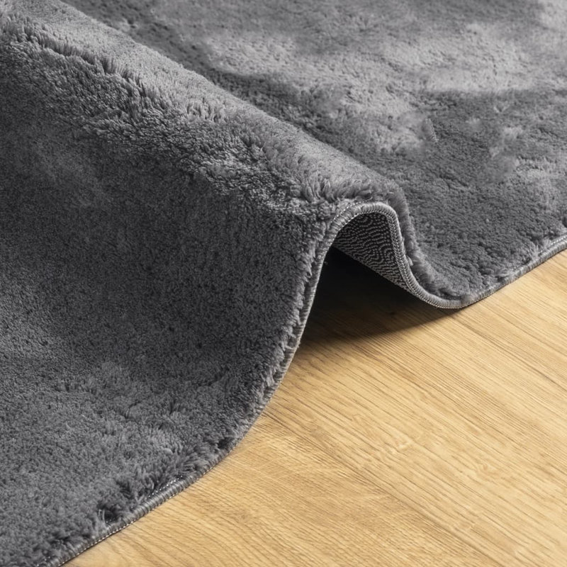 Rug "HUARTE" Short Pile Soft and Washable Anthracite, Rectangle 80 x 150cm