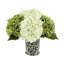 Hydrangea Arrangment In A Chinoiserie Vase-692989064