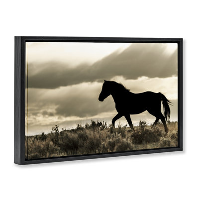 Silhouette d'un cheval en liberté