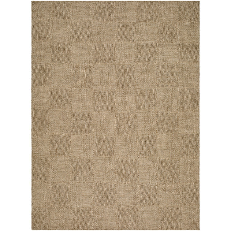Corderra Checkered Indoor / Outdoor Rug