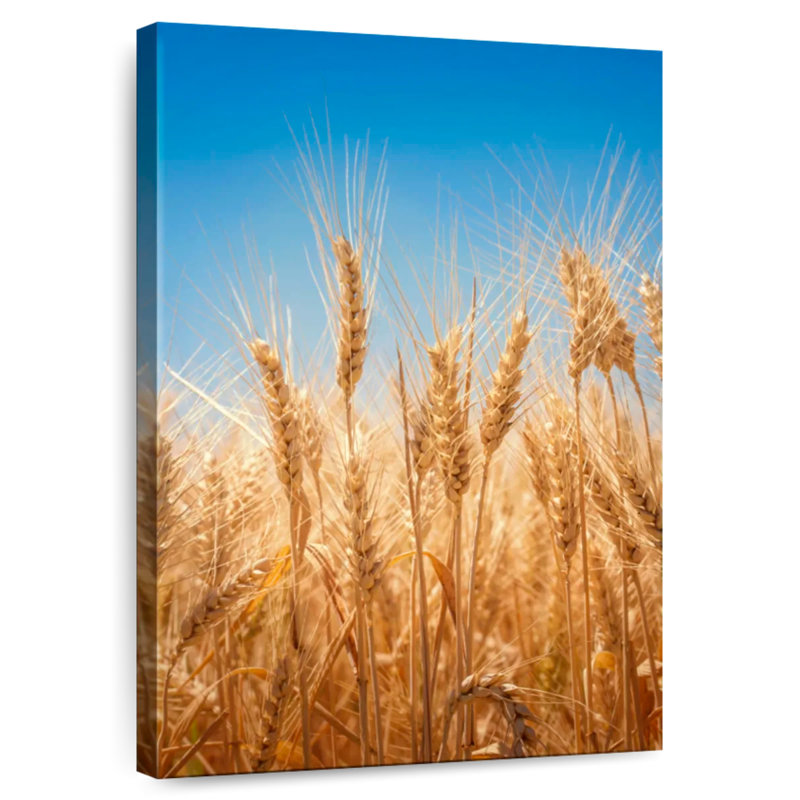 Blue Sky Wheat Field, 36" H x 24" W