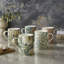 Tasse (Pimpernel)