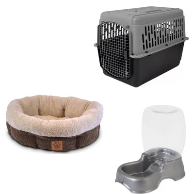 Ensemble de démarrage chiot buddy buddy