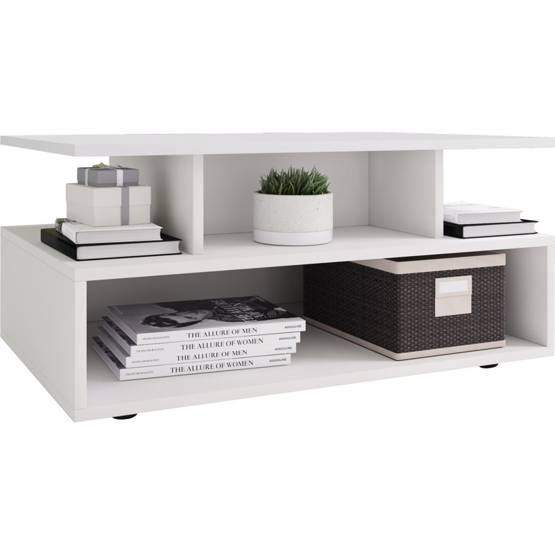 Roin Coffee Table with Storage, White