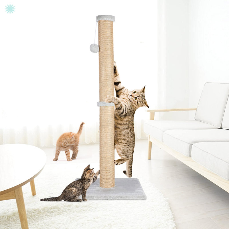 Grattoir naturel en corde de sisal avec bal teaser suspendu et couvert
