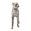 13x3x9 "Figurines et sculptures d'animaux