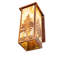 7.5" Wide Hyde Park Tamarack Wall Sconce