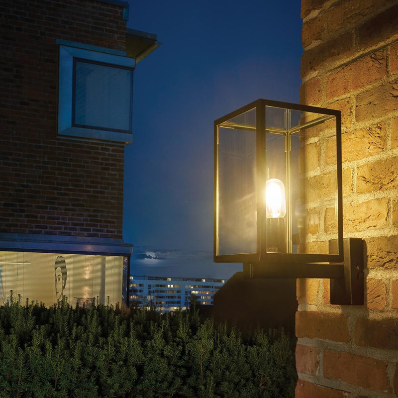 Tiltonsville Black Outdoor Wall Lantern