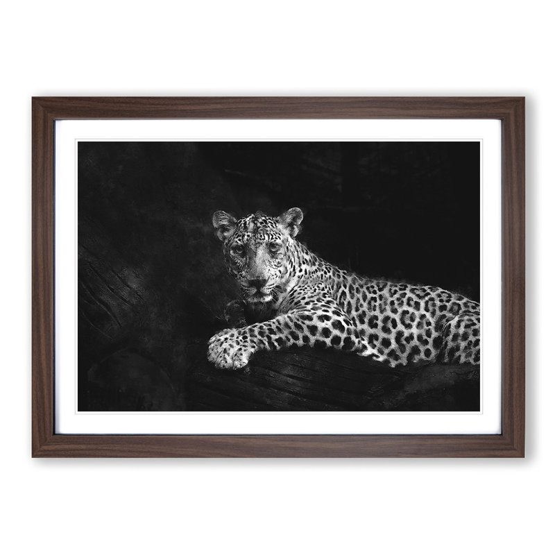 Leopard - Picture Frame Graphic Art Print, 45cm H x 63cm W x 2cm D, Walnut Framed