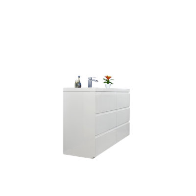 Hargrave 59.05'' Single Bathroom Vanity with Plastic Top