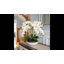 Orchid Arrangement in Round Fiberstone Pot-1233830117