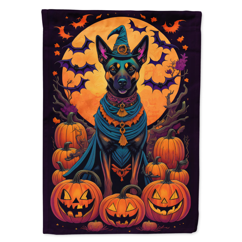 Drapeau de jardin en polyester Jakailah, 40 po x 28 po
