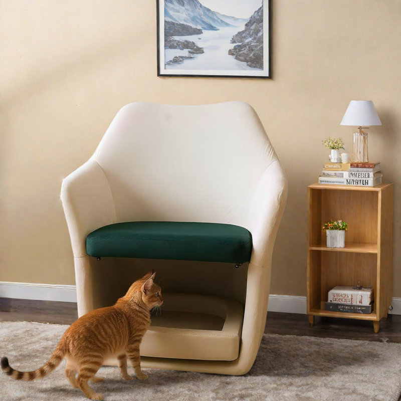 Chaise d'appoint moderne 2 en 1 avec base amovible pour animaux de compagnie