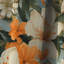 Papaya Dreams Tropical Motif II - Rideau floral - Rideau occultant floral - 1 panneau-107549626