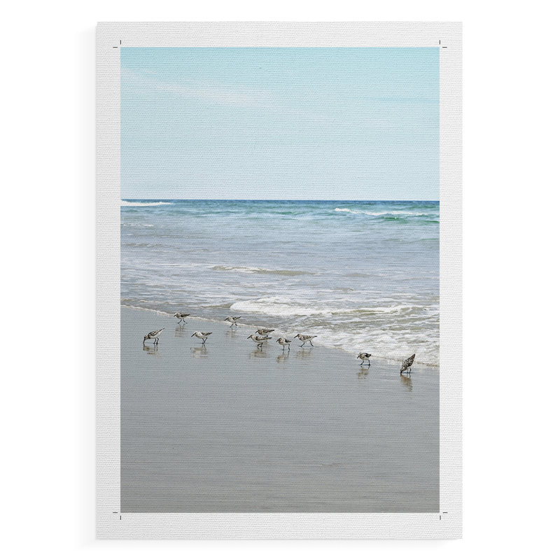 Sea Grazing - Impression sur toile seulement - NON-CADRE, H 12 po x l 8 po