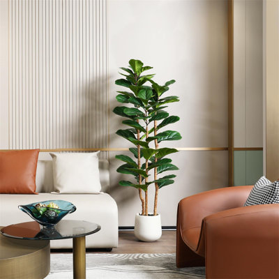 150cm Plant