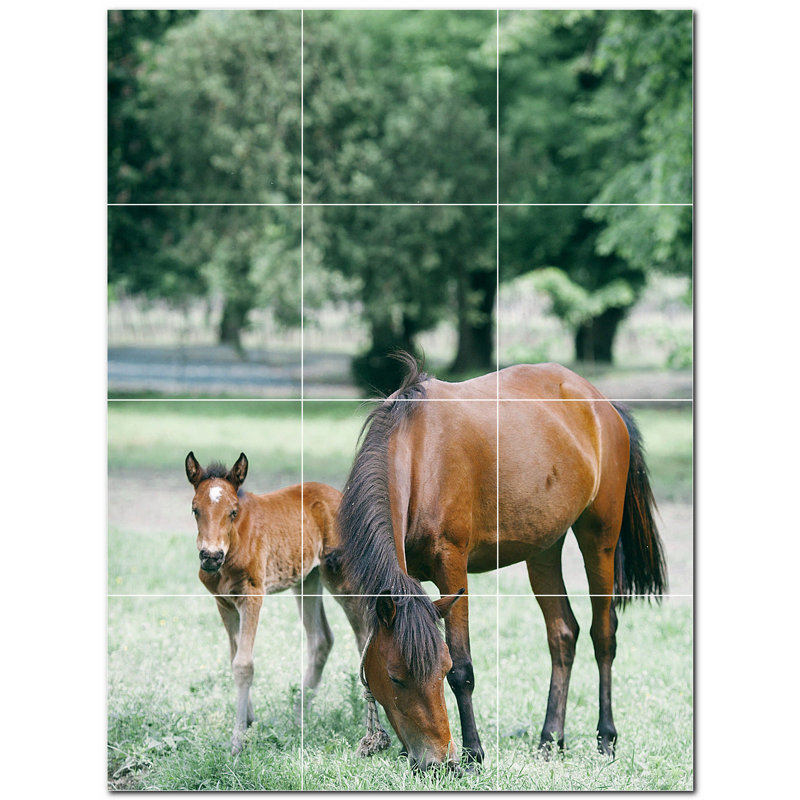 Photo de cheval 4,25 x 4,25