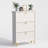 24 Pair Shoe Storage Cabinet with 3 Flip-out Drawers-1865293814