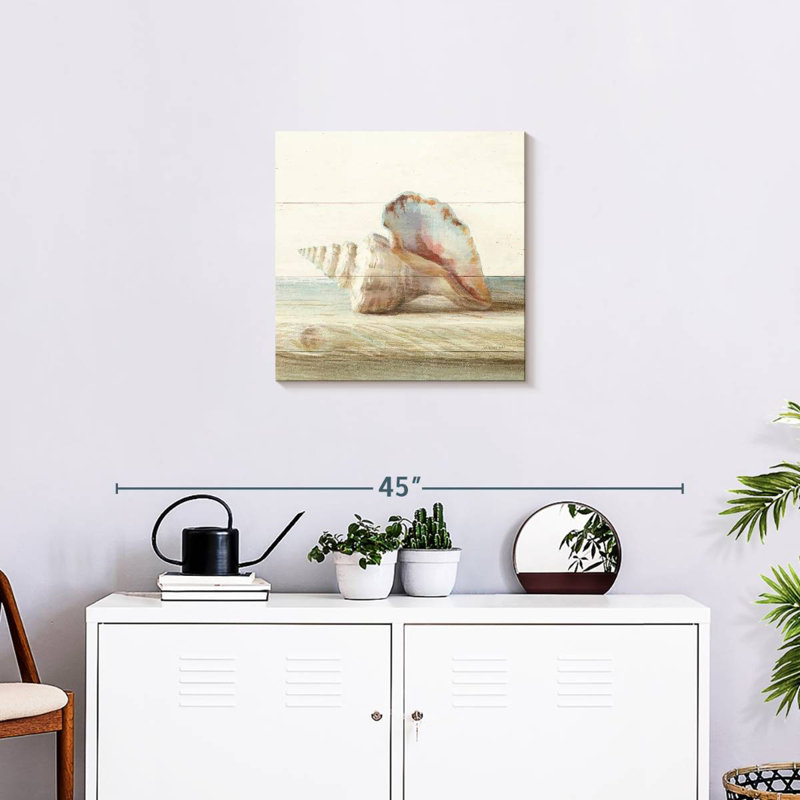 Aletra Driftwood Shell IV