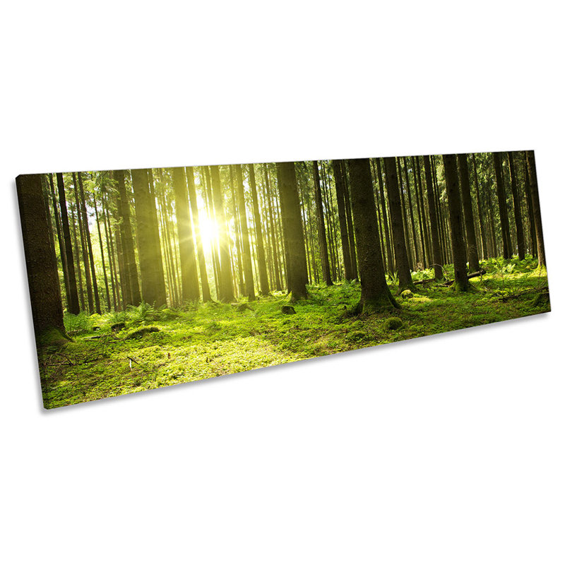 Forest Sunset Trees Sunlight Panoramic - Wrapped Canvas Print, 40.64cm H x 121.92cm W x 2cm D