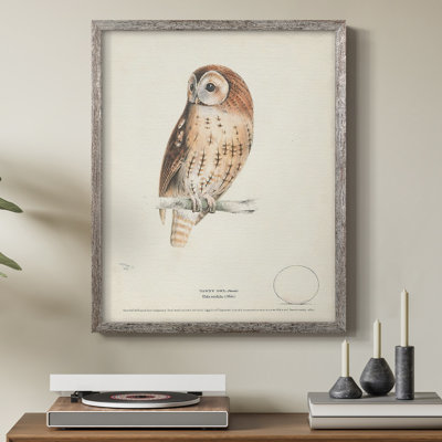 Tawny Owl Framed Print - Solid Wood
