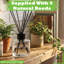 Nicola Spring Scented Glass Reed Diffuser-116516508-116516510