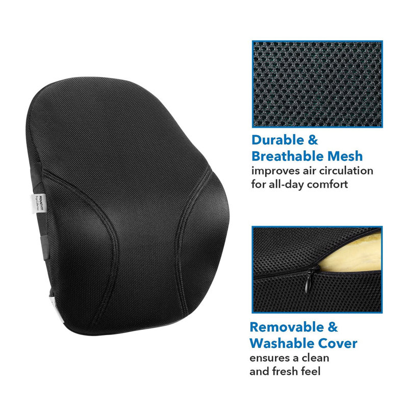 Ergo Collection Lumbar Support