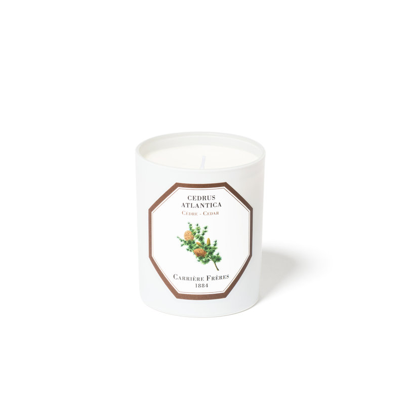 Cedar Candle