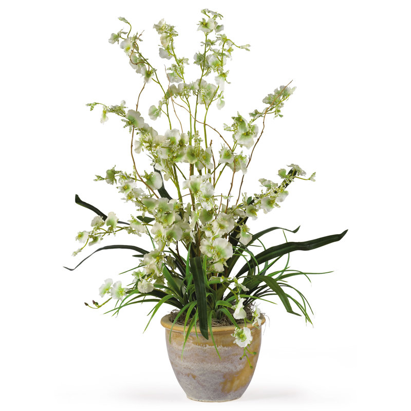 Arrangement floral orchidées dansantes en pot
