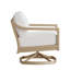 Swivel Chair-257469556