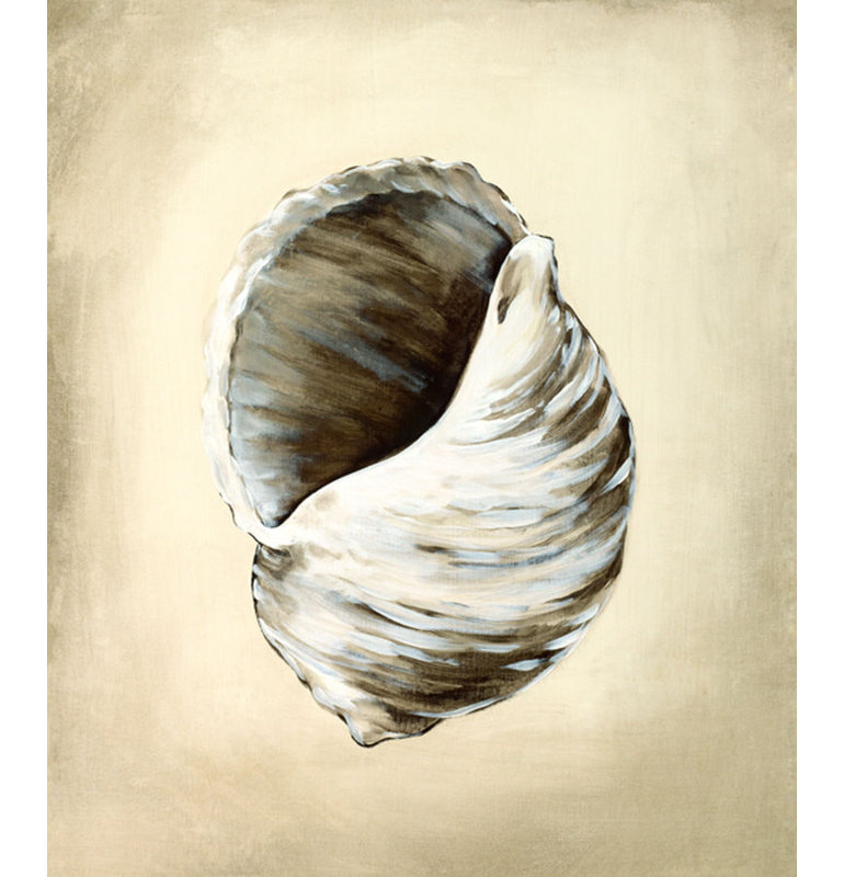 «Seashells III» par Sydney Edmunds - impression, Plexi, H 50 po x l 40 po x P 1,5 po