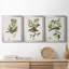 Oiseau antique, botanique et œuf I - ensemble de 3 peintures sur toile encadrées-1128397841-1128397840