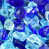 Bleus méditerranéens
