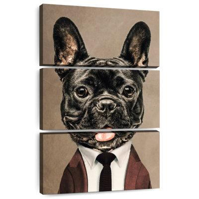 Ketti Gentleman Bulldog