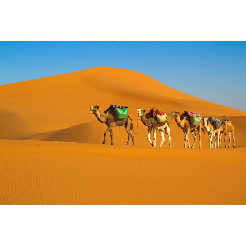 Desert Caravan by Pazhyna - Wrapped Canvas Print, 81cm H x 122cm W x 3.8cm D