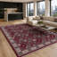 Oriental Cotton and Chenille Flatweave Area Rug-1590176641