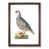Walnut Framed selected