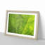 Veins of a Leaf - Picture Frame Photograph Print-55763923-55763926