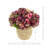 Carytown 14 " Polysilk Arrangement-1499773843