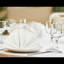 Table Napkins 10-Pack | 19x19 Inch Polyester | Luxury 180gsm Extra Soft & Absorbent | Machine Washable Dinner Napkins for Weddings, Parties & Everyday Dining-1535238566