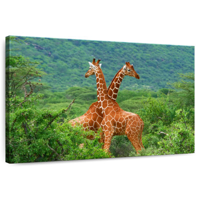 Crowle Giraffe Love