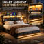 Storage Bed with LED Lighting and USB Port, Padded Double Bed with Storage and Headboard, PU-921734018