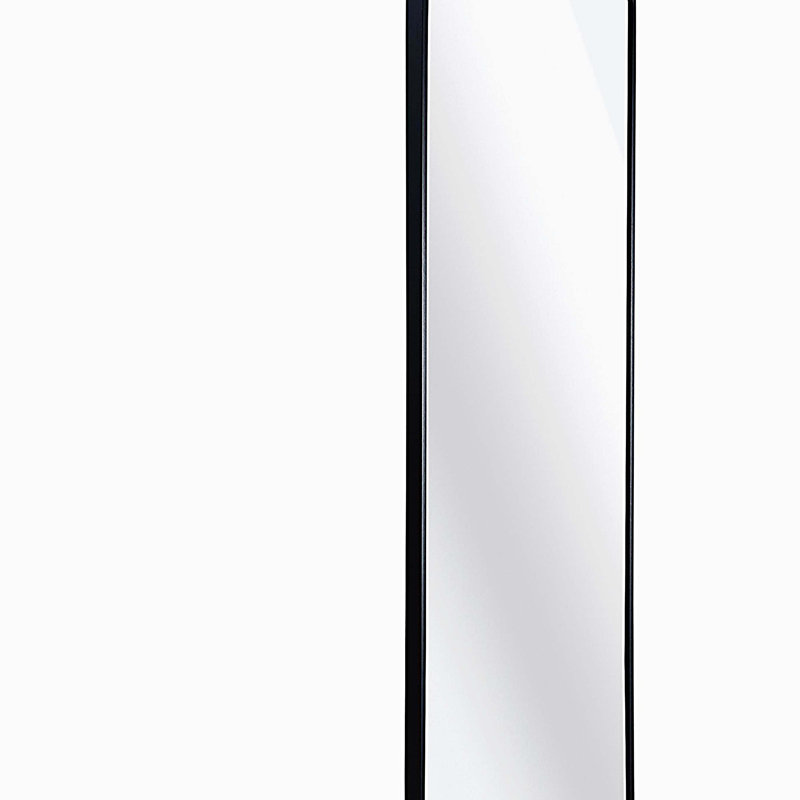 47 x 14IN Door mirror.(W2203P182244), Black