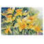 «Daffodil Party» par Mattox, reproduction d'aquarelle sur toile tendue-30392497