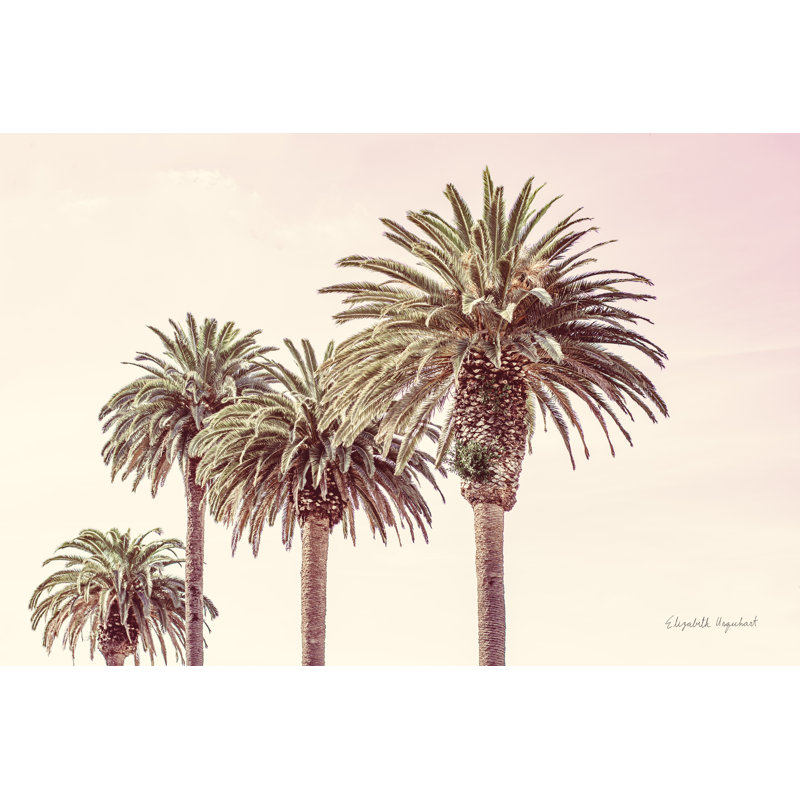 «Pastel Palms» par Elizabeth Urquhart - reproduction, H 8 po x l 12 po