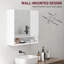 W H Medicine Cabinet Mirror