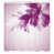 Purple Blush is out of stock