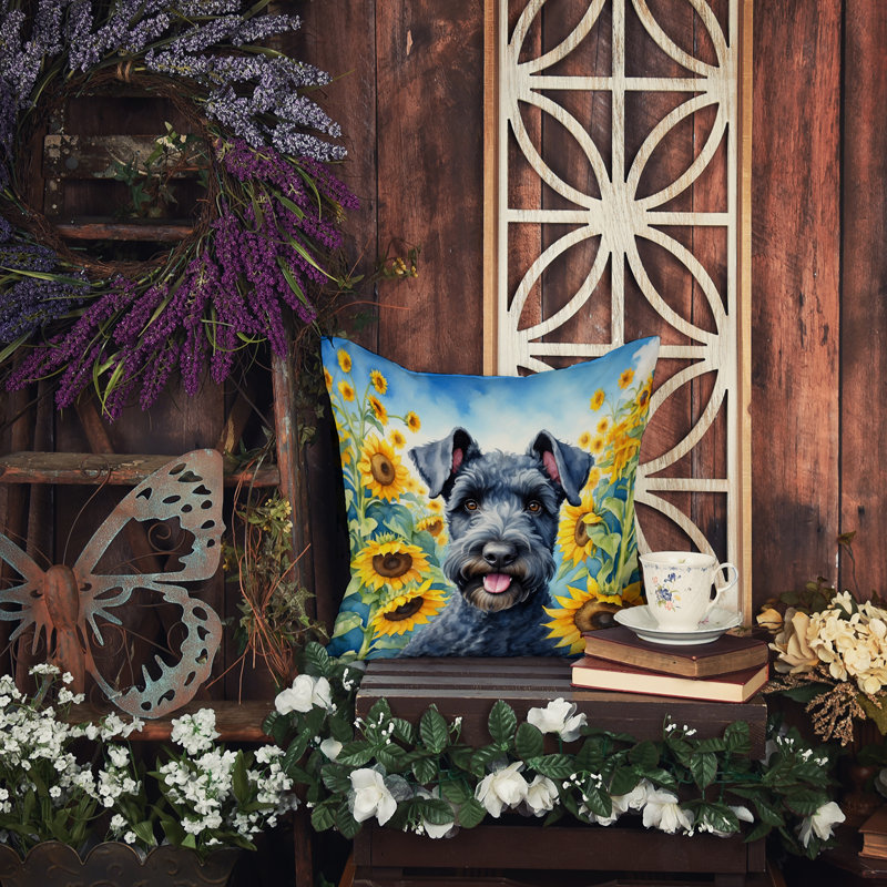 Other/No Pattern Outdoor Throw Pillow, 14" H x 14" W
