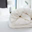 All Season Comforter-2102200310