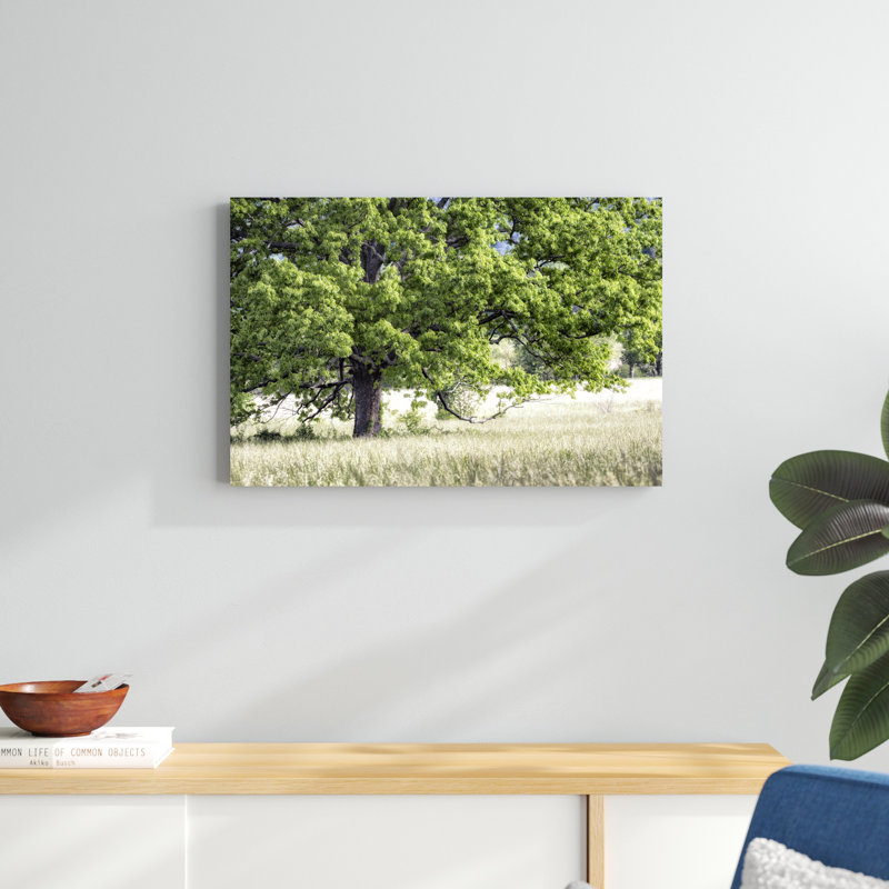 Arbre en été, H 20 po x l 30 po x P 1,25 po